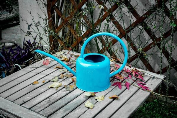 Watering Iron Sheet Watering Pot Gardening Garden Greening Vegetable Garden Large Capacity Kettle - Image 2