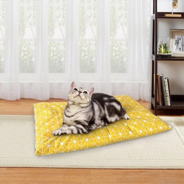Plush Paws Palace: The Ultimate Luxury Dog Bed House - Image 3